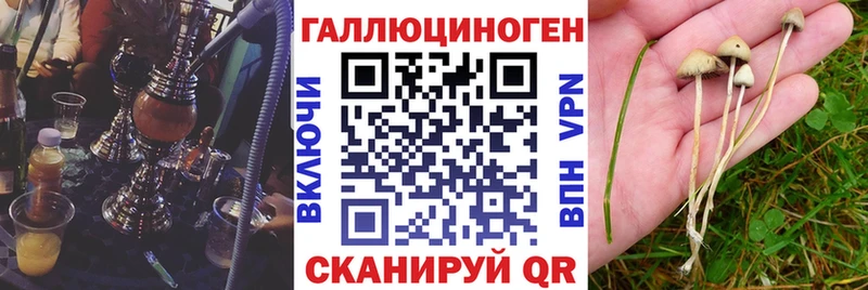 Купить  Вольск  Галлюциногенные грибы мицелий 